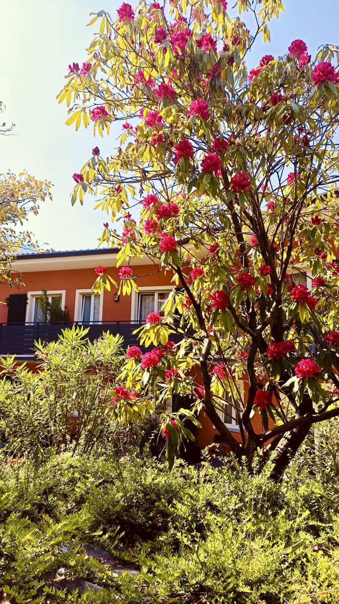 Hotel Villa Cuserina Cannobio Buitenkant foto